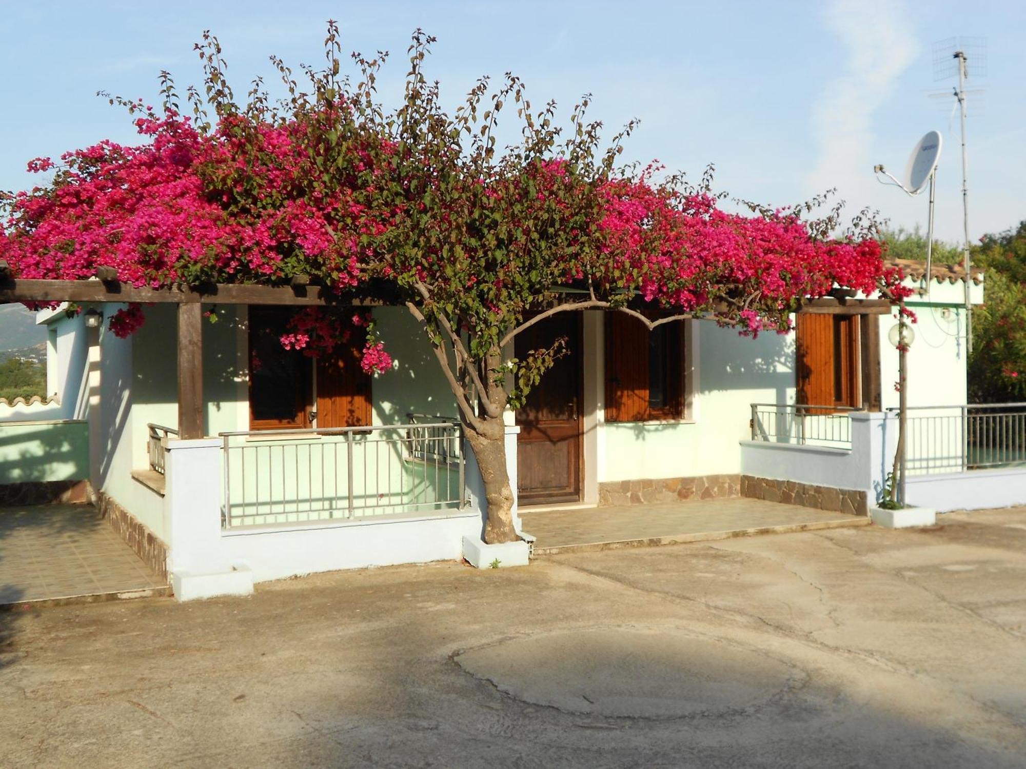La Corte Degli Ulivi Cardedu Dış mekan fotoğraf